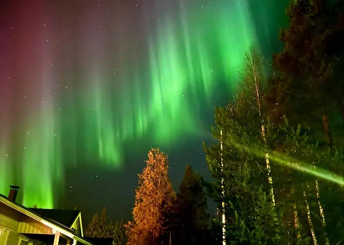 Cozy And Peaceful In *